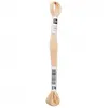 Image de Fil à broder mouliné Uni - Rico Design(...) - 274 Marron