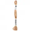 Image de Fil à broder mouliné Uni - Rico Design(...) - 276 Marron