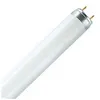 Image de Neon lumilux t8 30w 865 plus 6500k culot g13