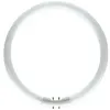 Image de Tube fluorescent OSRAM 2GX13 22 W blanc neutre forme d'anneau 1 pc(s)