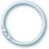 Image de Osram, Ampoule, Fc 22 W/840 (2GX13, 1900 lm, 1x)