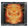 Image de Everything Louder Than Everyone Else Vinyle album