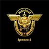Image de Hammered - Vinyle