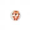 Image de Bouton animaux polyester 2 trous 12mm - Prym(...) - Tigre Multicolore