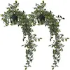Image de Relaxdays, Plantes artificielles, 2x Kunsthängepflanze (60 cm)