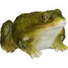 Image de Relaxdays, Décorations d'extérieur, Frosch