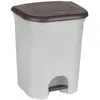 Image de Poubelle à pédale avec 2 bacs amovibles 2x11L