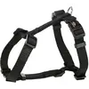 Image de Trixie Harnais Premium H (XXL, Chien, Général), Collier + laisse