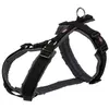 Image de harnais trekking pour chien taille S tour de ventre 36 44 cm couleur : noir/gris graphite