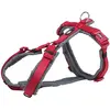 Image de Trixie Premium Trekking, harnais, pour chien, rouge (XL, Chien, Général, Promenade, Sport canin), Collier + laisse