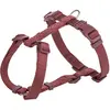 Image de Trixie Hondentuig Premium H-Tuig Sangria Rood - 42-60X1,5 Cm (M, S, Chien), Collier + laisse