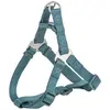 Image de Trixie Hondentuig Premium One Touch Petrol - 40-50X1,5 Cm (S, Chien, Sport canin), Collier + laisse