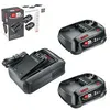 Image de Starter Set 18V - VERT - 2 batteries 18V 2,5 Ah + chargeur - 1600A031T5