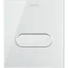 Image de Duravit, Plaque de déclenchement, Plaque de déclenchement DURASYSTEM A1 140,5x157mm, pour urinoir, verre blanc