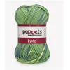 Image de Coton à Crocheter Puppets Lyric Multicolor - Anchor : Un Fil Polyvalent et Coloré pour Toutes Vos Créations(...) - 202 Vert
