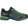 Image de Salewa, Hommes, Chaussures de randonnée, Chaussures MTN Trainer Lite GTX (46.5), Vert
