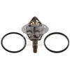 Image de Thermostat Febi Car 106507