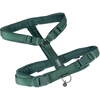 Image de Harnais Nomad Tales Blush, émeraude pour chien - taille XS : tour de poitrail 34 - 49 cm, l 15 mm