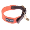 Image de Collier Nomad Tales Bloom, corail pour chien - taille XS : tour de cou 30 - 36 cm, l 25 mm