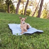 Image de Tapis rafraîchissant de voyage Spirit de Nomad Tales pour chien, 90 x 60cm