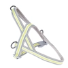 Image de Harnais No-pull TIAKI en taille S : env. 55-65 cm de tour de poitrail, pour chien