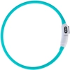 Image de Collier en silicone TIAKI Lanterne avec éclairage LED USB pour chien - turquoise