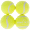 Image de Lot de 4 balles de tennis Nomad Tales