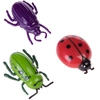 Image de 3 jouets Insectes pour chat - Jouet pour chat
