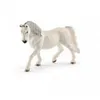 Image de 13819 Jument Lipizzan