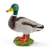 Image de Schleich Figurine 13824 - Animal de la ferme - Canard