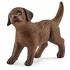 Image de 13835 Chiot Labrador Retriever