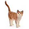 Image de 13836 Chat