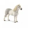 Image de 13871 Poney Galois male