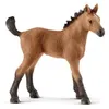 Image de SCHLEICH - Figurine 13854 Poulain Quarter horse