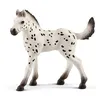 Image de Schleich Horse Club - Poulain Knabstrup - points noirs, manteau blanc