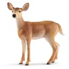 Image de 14819 Biche de Virginie