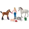 Image de Schleich Vet visiting Merrie and Veulen