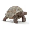 Image de 14824 la tortue geante figurine