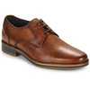 Image de Derbies Lloyd  LANGSTON M67072810