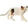 Image de Schleich Américain à poil court
