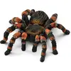 Image de Schleich Tarentule rampante