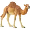 Image de Schleich Dromadaire