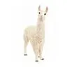 Image de 13920 Lama