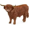 Image de 13919 Taureau Highland