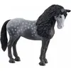 Image de Schleich Jument Pura Raza Espanola