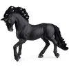 Image de 13923 Etalon pure race espagnole
