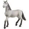 Image de Schleich Poulain Pura Raza Espanola