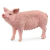 Image de Schleich - Cochon - 13933