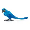 Image de 14859 - Ara hyacinthe oiseau