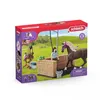 Image de Box de lavage pour chevaux Emily et Luna, coffret schleich avec 19 éléments inclus dont 1 cheval schleich, coffret figurines écurie
